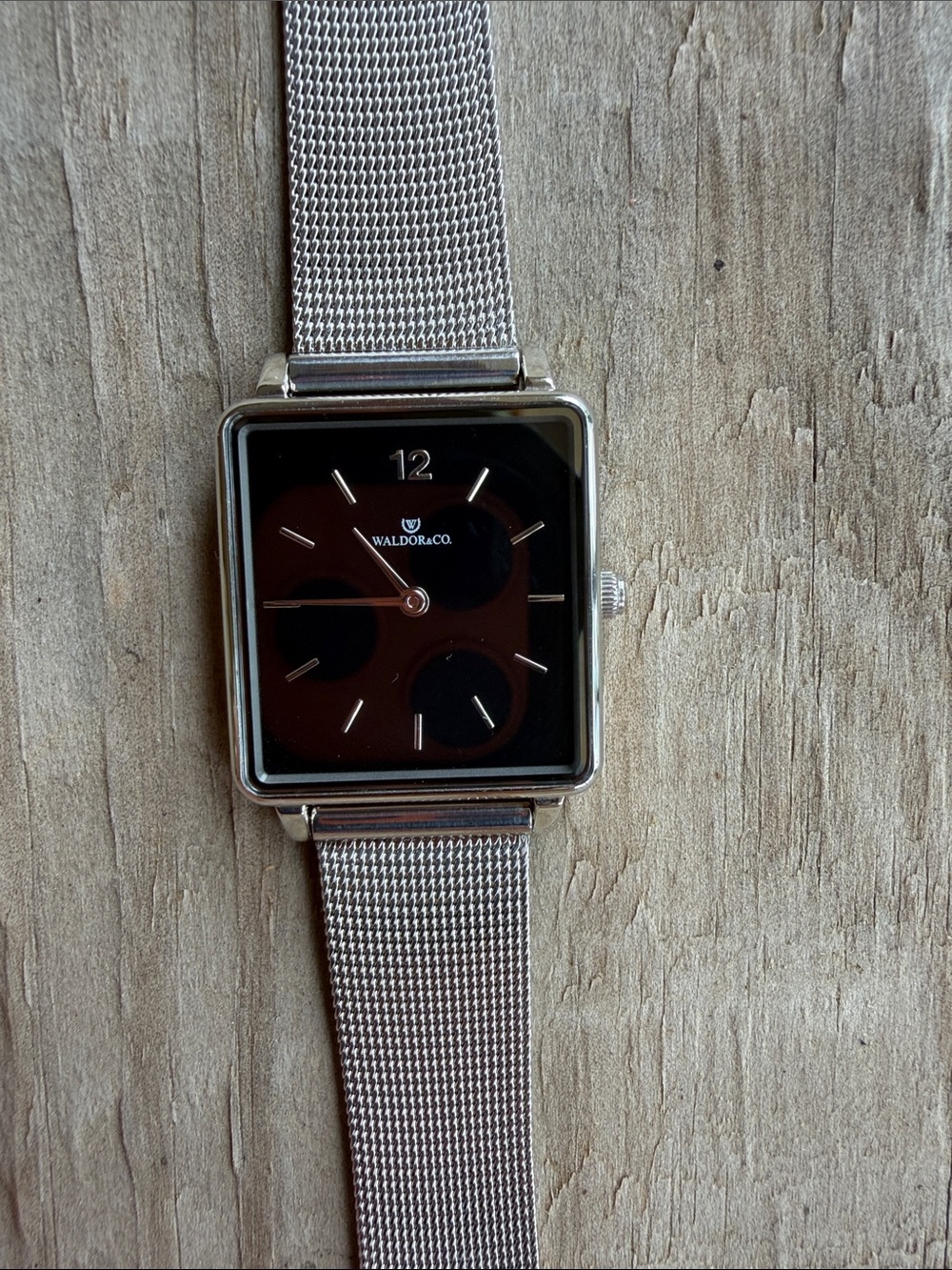 Skagen Silver Mesh Watch with Black Dial